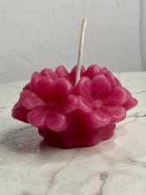 Blossom Flower