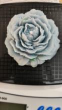 Peony Flower