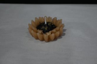 Sun Flower